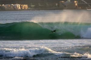 Matt Wilkinson (Aus)
