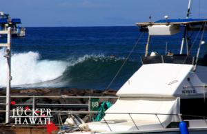 Maui im Sommer